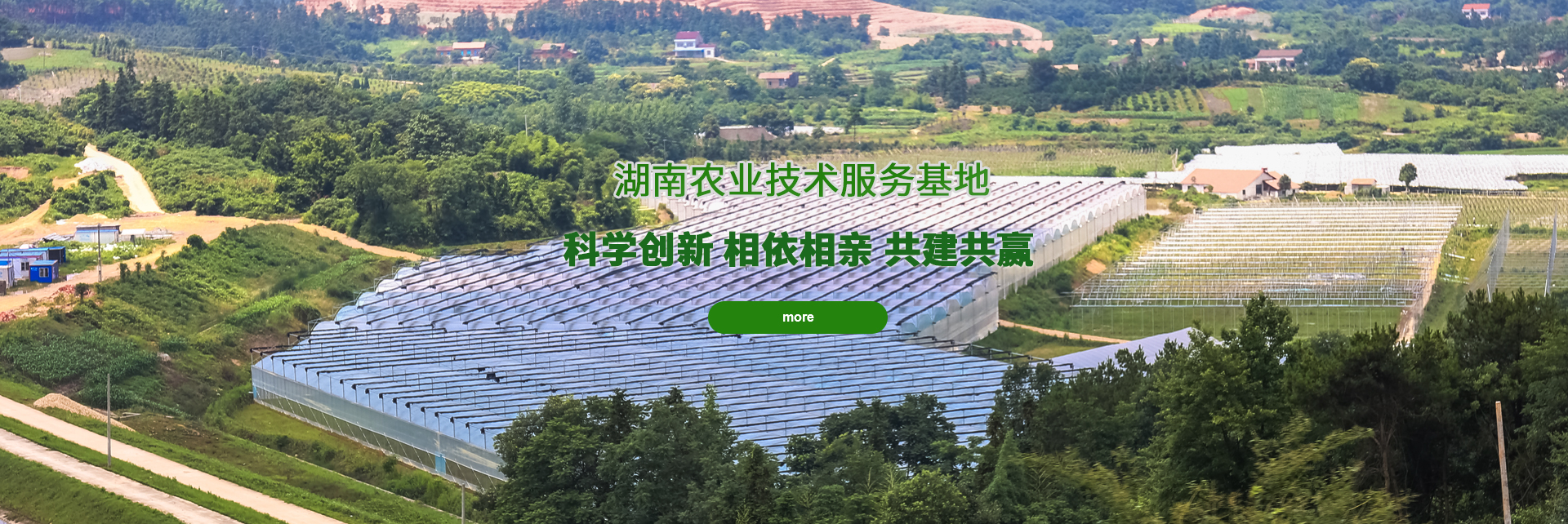 九游官网app